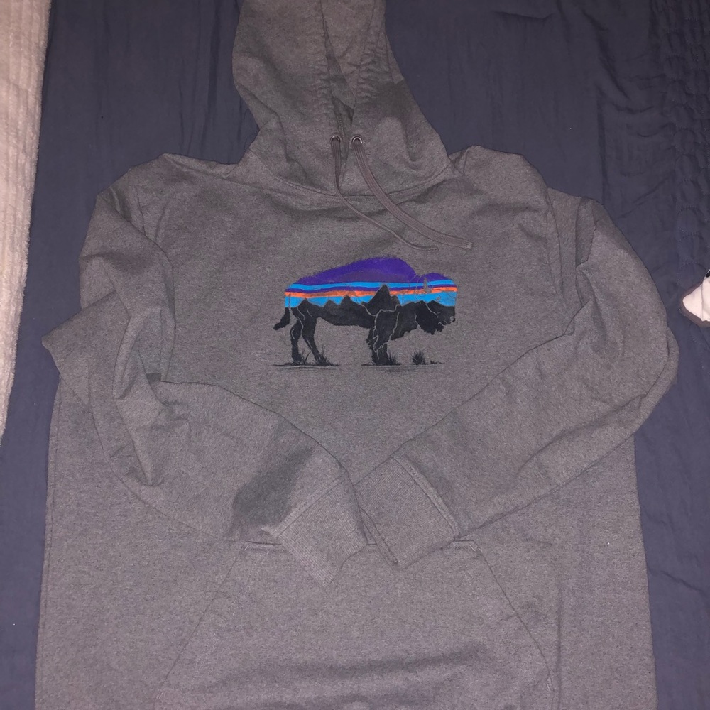 XL Patagonia Hooded Sweatshirt